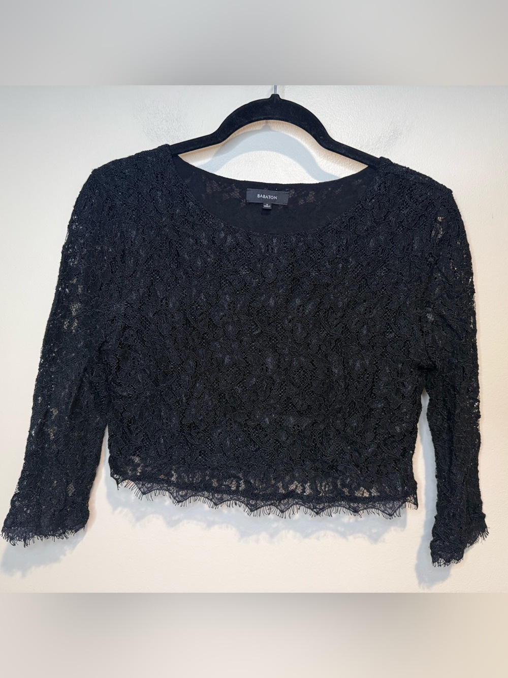Babaton STUART BLOUSE | Aritzia - lace crop top